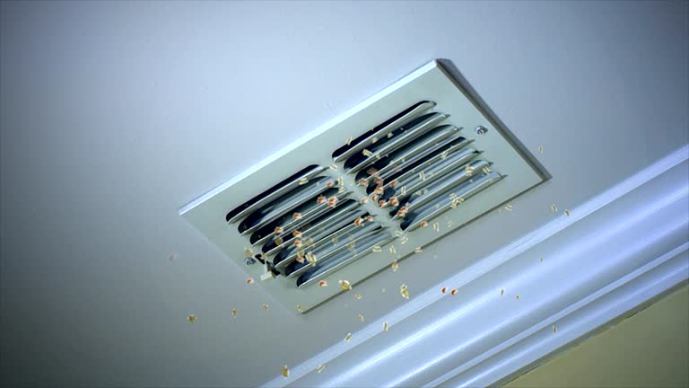 Best Affordable Duct Cleaning Services  in Audubon, PA